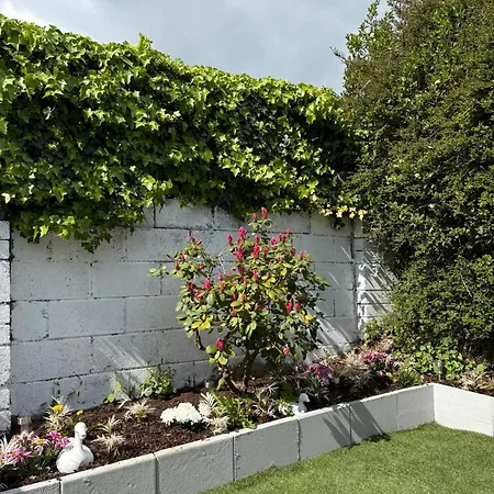 Superb Triple Near Airport - 1 * ダブリン