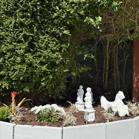 ゲストハウス Superb Triple Near Airport - 1 ダブリン