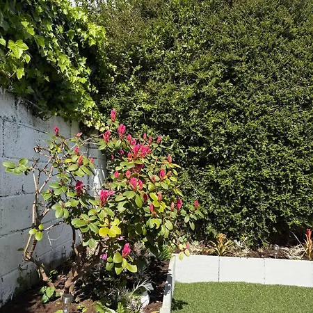 Superb Triple Near Airport - 1 Dublin