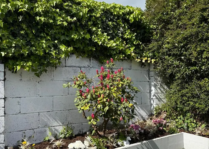 Superb Triple Near Airport - 1 * Dublino