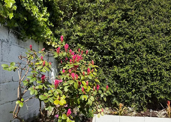 Superb Triple Near Airport - 1 Dublino